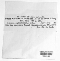 Image Associated With the Occurence